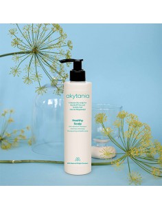 Healthy Scalp 2